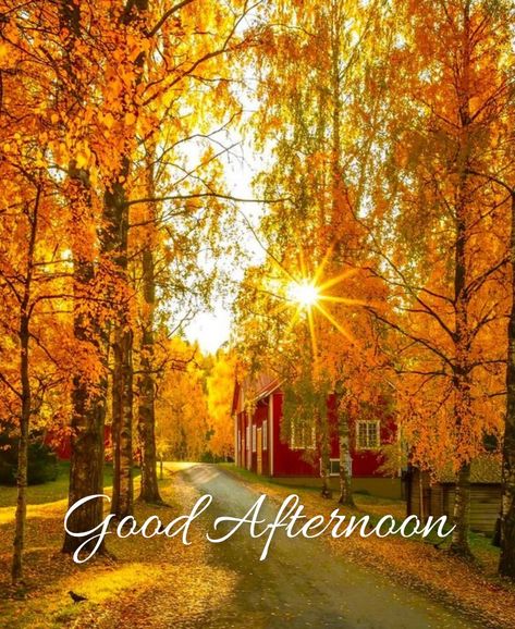 Have A Beautiful Evening, Afternoon Blessings, Country Photos, Nice Images, Afternoon Nap, Halloween Quotes, Beautiful Evening, Good Afternoon, Fall Thanksgiving