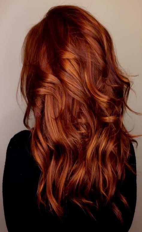 2023 Fall Red Hair, Dark Red Copper Highlights, Brown And Copper Hair Color, Copper Balayage Brunette Medium, Red Hair Color Over Brown, Rhubarb Red Hair, Short Curly Haircuts Red Hair, Red Hair With Auburn Highlights, Fall 2023 Hair Color Trends Red