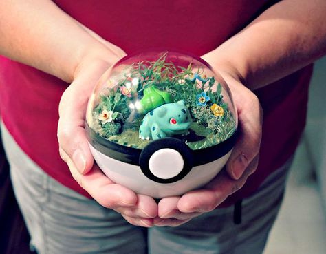 Pokemon terrarium Terrariums Diy, Diy Geek, Pokemon Terrarium, Pokemon Room, Boys Diy, Geek Diy, Pokemon Diy, Pokemon Ball, Nerd Crafts