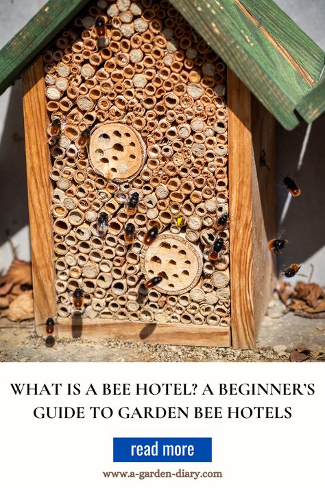 Transform your garden into a bee-friendly haven with a bee hotel! This beginner’s guide explains what a bee hotel is and how it attracts solitary bees, which are vital for pollination. Learn why bee hotels are ideal for gardeners looking to enhance biodiversity without the commitment of a hive. Discover step-by-step tips on setting up, maintaining, and caring for a bee hotel, and watch your garden flourish. Get ready to create a mini ecosystem that supports nature’s most hardworking pollinators! How To Attract Bees To A Hive, Bee Garden Design, Mini Ecosystem, Bee Hotels, Honey Bee Garden, Bee Conservation, Types Of Bees, Bee Friendly Garden, Bee Hotel