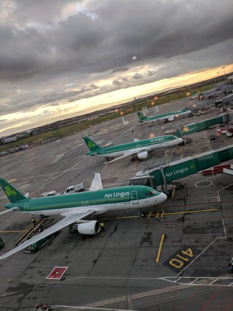 The next batch of Aer Lingus Airbus A320 getting ready at Dublin Airport Terminal 2. Air Arabia, Glasgow Airport, Aer Lingus, All Airlines, Miami International Airport, Dublin Airport, Airport Terminal, Dream Jobs, Mind Relaxation