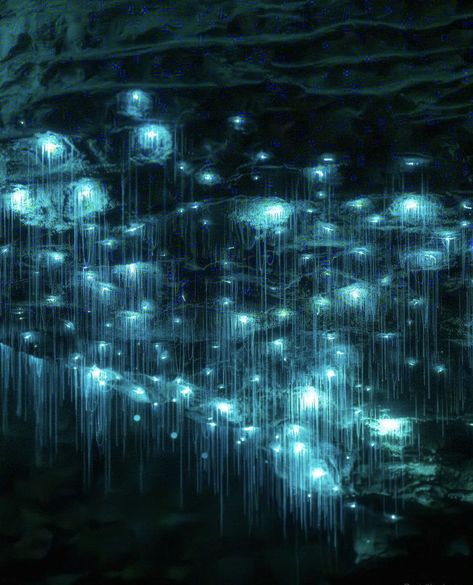 Glowing Rocks, Bioluminescent Cave, Glowing Crystal Art, Underwater Cave Aesthetic, Blue Cave Aesthetic, Glowing Crystal Cave, Zhuhai, Urban Design Graphics, Inner World