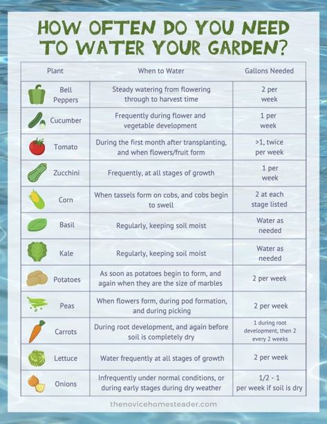 Small Beginner Garden Layout, Garden Watering Schedule, Medicinal Gardening, Medicine Recipes, Water Garden Plants, When To Plant Vegetables, Vegetable Garden Planning, Homestead Gardens, Victory Garden