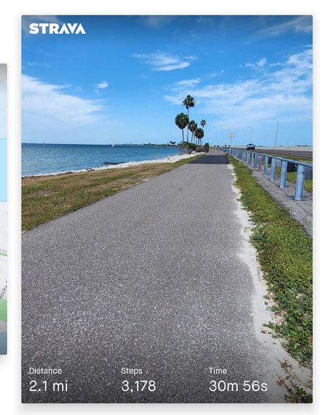 Walk on Courtney Campbell Causeway Courtney Campbell, Walk On, Walking, On Instagram, Quick Saves, Instagram