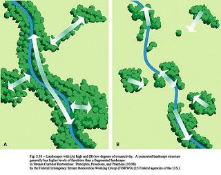 Riparian Buffers as Wildlife Corridors | by placeuvm Conservation Architecture, Green Corridor, Conservation Of Natural Resources, Corridor Design, Nature Conservation, Wildlife Conservation, Healthy Plants, Permaculture, Landscape Architecture