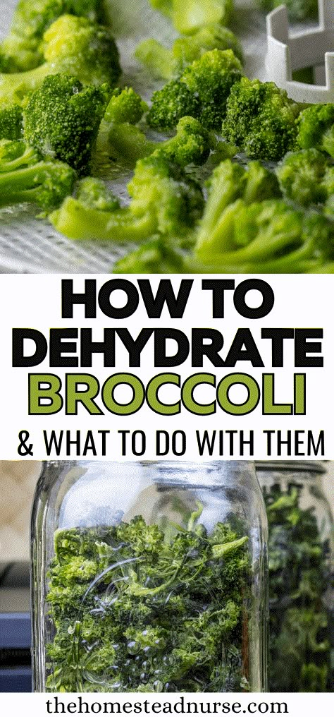 Learn how easy it is to dehydrate the whole broccoli plant and make it useful for your long-term storage, green powder, and everyday meals. Foods To Dehydrate, Purposeful Pantry, Dehydrator Recipes Fruit, Dehydrating Food Storage, Broccoli Plant, Food Dehydration, Food Prepping, Dehydrating Food, Dehydrated Vegetables