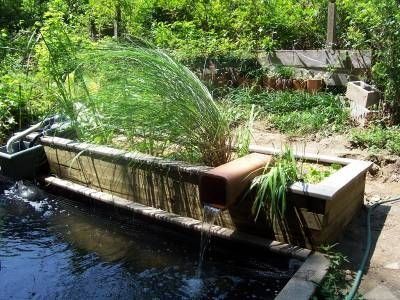 Bog Filters: How to build a Bog Filter: Pondkeeper Blog Outdoor Ponds Diy, Pond Filter Diy, Bog Filter, Container Ponds, Start Garden, Bog Gardens, Wildlife Pond, Swimming Ponds, Bog Plants