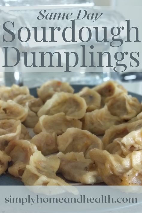 Sourdough Dumpling Wrapper, Sourdough Potstickers, Sourdough Discard Hushpuppies, Sourdough Discard Dumplings Recipe, Sour Dough Dumplings, Sourdough Wonton Wrappers, Sourdough Turnovers, Sourdough Apple Dumplings, Sourdough Dumplings Recipe