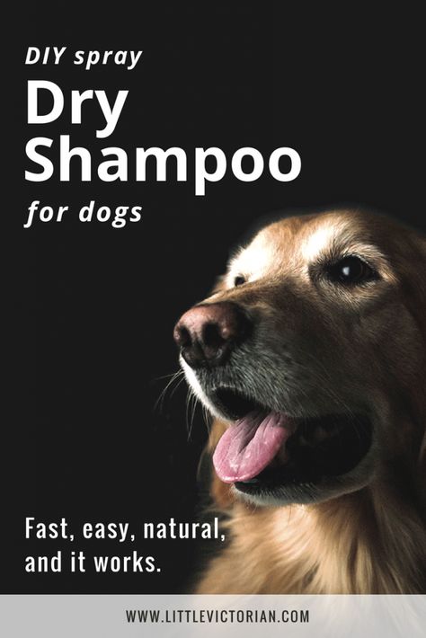 Spray DIY dry shampoo for dogs Dry Shampoo For Dogs, Diy Dog Shampoo, Dogs Barking, Diy Dry Shampoo, Shampoo Recipe, Dog Remedies, Diy Shampoo, Diy Sprays, Dog Shampoo