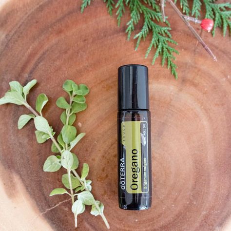 Oregano essential oil is one of the most powerful and potent essential oils available. 💚 doTERRA Oregano Touch delivers the… Doterra Oregano, Oregano Essential Oil, Essential Oils Health, Large Pores, Doterra, Most Powerful, Oregano, Natural Oils, Natural Health