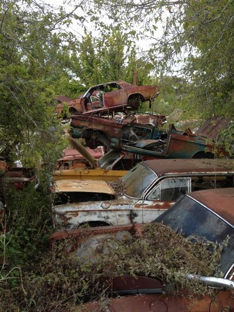 Junkyard Aesthetic, Chloe Price Aesthetic, Car Junkyard, Small Town Mystery, Apocalypse Aesthetic, Midwest Emo, Chloe Price, Fallout New Vegas, Southern Gothic