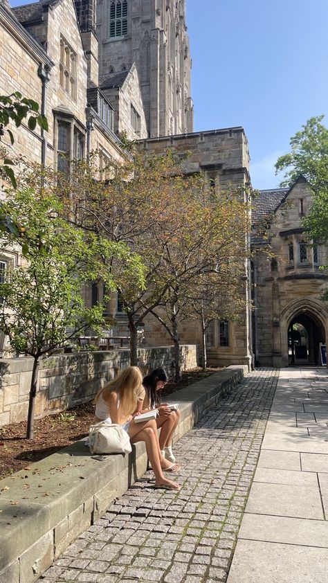 Ivy League Aesthetic Girl, Yale University Aesthetic, Yale Aesthetic, Ivy League Aesthetic, Yale College, Aesthetic University, Old University, University Inspiration, Friends Experience