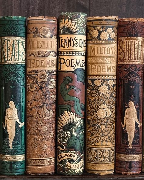 Bibliophile Aesthetic, Books Dark Academia, Victorian Poetry, Book Spines, Library Aesthetic, Book Spine, Vintage Library, Vintage Book Covers, Beautiful Book Covers