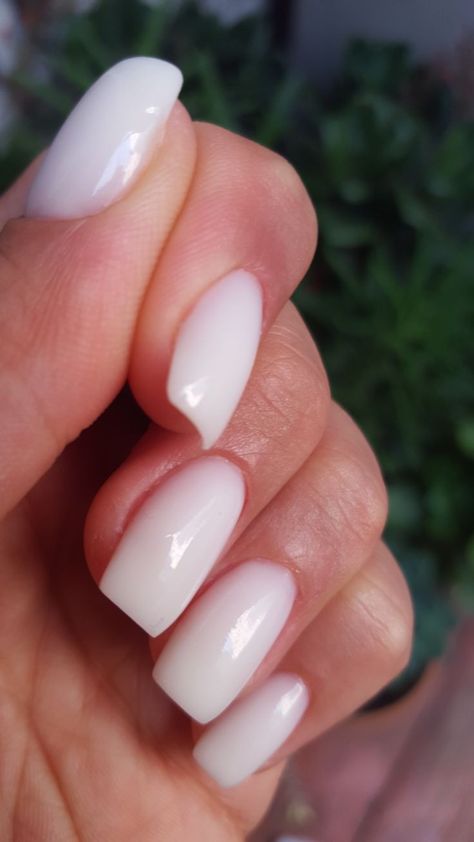 Short Neutral Manicure, Pinkish White Nails Acrylic, Get Nails Short, Simple Dip Nails, Milky Nails, Makijaż Smokey Eye, Soft Nails, Neutral Nails, Dipped Nails