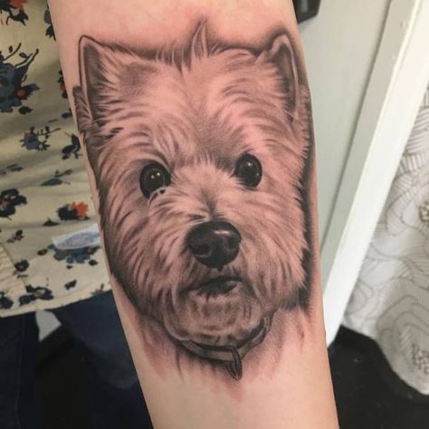 Toby the Westie! #BellwetherTattoo #tattoo #dogportrait #westie #westhighlandterrier #SeattleTattooShop #SeattleTattooArtist  (at Bellwether Tattoo) Westie Tattoos, Westie Tattoo, Dog Portrait Tattoo, Small Dog Tattoos, West Terrier, Seattle Tattoo, Miss My Dog, Tribute Tattoos, Tattoo Dog