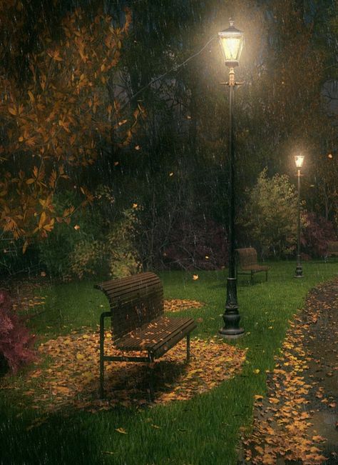 Bench Bangku Taman Aesthetic, Park Bench Aesthetic, Peaceful Rain, Park Wallpaper, Wattpad Background, Park Benches, Night Rain, I Love Rain, Fall Images