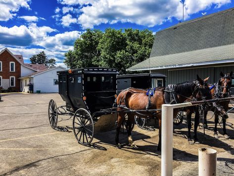 When you're ready for a unique and family-friendly day trip, head to this charming Amish town in Michigan. Amish Town, Michigan Travel Destinations, Travel Michigan, Michigan Road Trip, Amish Community, Michigan Travel, Lake Huron, Amish Country, Mackinac Island