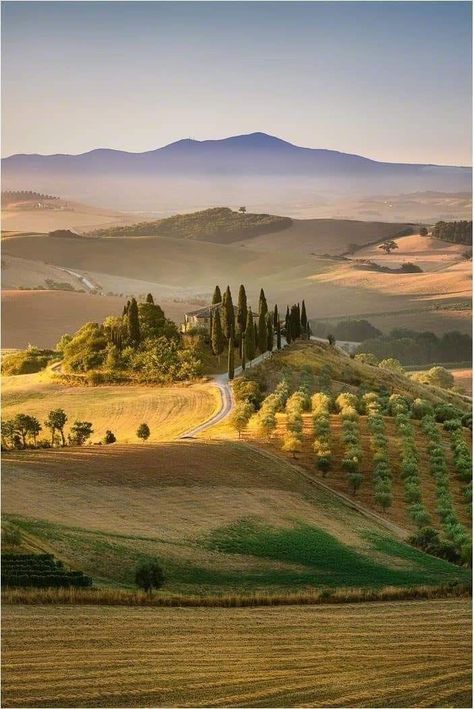 Toscana Aesthetic, Paris Words, Villa Toscana, Tuscany Landscape, Tuscan Landscaping, Tuscany Villa, Italy Landscape, Toscana Italia, 수채화 그림