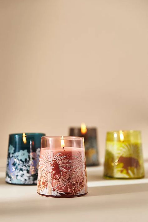 Candles Anthropologie, Acorn Candle, Candles Trends, Anthropologie Candle, Pine Cone Candles, Bergamot Orange, Valencia Orange, Good Burns, Candle Inspiration