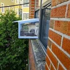 Diy Cat Window Box Ideas, Outside Cat Enclosure Diy Window, Cat Window Box Diy, Outside Cat Enclosure, Diy Cat Enclosure, Window Boxes Diy, Cat Flap, Box Window, Window Inserts