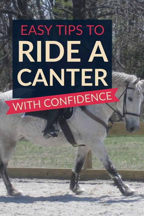 tips for learning to ride a cantering horse, and the trot to canter transition, with confidence Cantering Horse Tips, How To Canter Horse, How To Sit The Canter Horse, Horse Tips And Tricks, Horse Riding Tips English, Horse Biomechanics, Cantering Horse, Horse Cantering, How To Ride A Horse