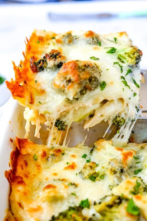 This Chicken Broccoli Lasagna only uses FIVE ingredients but is packed with flavor and makes an amazing, hearty dinner! Thick layers of broccoli, chicken and cheese are baked in Alfredo sauce with hardly any hassle at all! This dish reheats easily making it great for lunches and meal preps, too! If all recipes you come across on the internet were BOTH easy AND delicious, I think a lot more people would cook at home!! Too much of the time, recipes are just way too complicated for busy… Chicken Broccoli Lasagna Recipe, Chicken Broccoli Lasagna, Chicken And Broccoli Lasagna, Broccoli Lasagna Recipe, Broccoli Lasagna, Cheese Broccoli, Chicken Alfredo Lasagna, Oven Ready Lasagna, Chicken Broccoli Alfredo