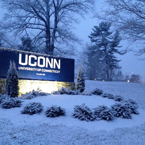 Uconn in the winter University Of Connecticut Aesthetic, Uconn Aesthetic Campus, Upenn University Aesthetic, Uconn Campus, Uconn Dorm, Ucsb College Aesthetic, Uconn Aesthetic, Connecticut Aesthetic, Uconn Basketball