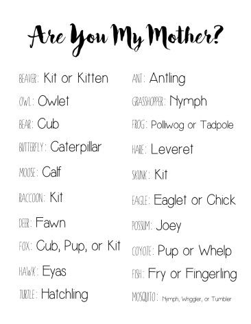 AreYouMyMotherAnswers Baby Shower Free Printables, Woodlands Baby Shower, Woodsy Baby Showers, Are You My Mother, Outdoor Baby Shower, Baby Shower Woodland Theme, Fun Baby Shower Games, Mother Baby, Food Favorites