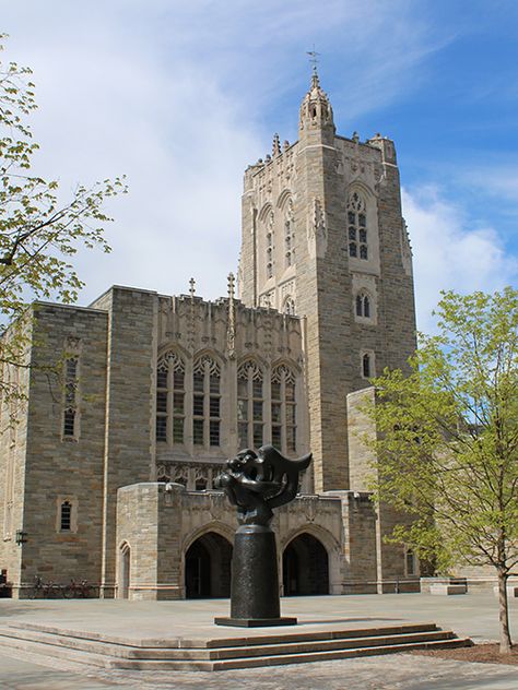 Princeton University Campus, Romanticizing College, Kids Library, Toni Morrison, Princeton University, American Universities, University Campus, Video Services, Rare Books