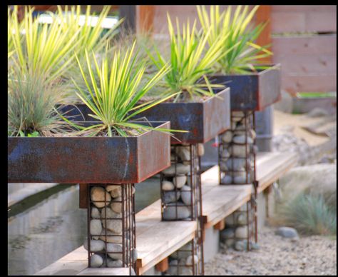 raised planter box holders, river rock in wire mesh Gabion Stone, Gabion Baskets, Contemporary Planters, Gabion Wall, Steel Planters, Modern Garden Design, Metal Planters, Garden Fencing, Ideas Pictures