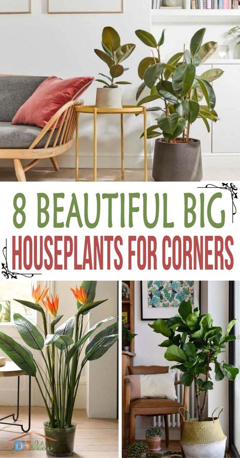 These are the best and most beautiful big houseplants that you can put in the corners of your home and create a fresher look. Plants In Corner Of Living Room, Big Houseplants, Indoor Large Plants, Big House Plants, Tall Room, Dining Room Corner, Tall Indoor Plants, Room Plants, Small Palm Trees