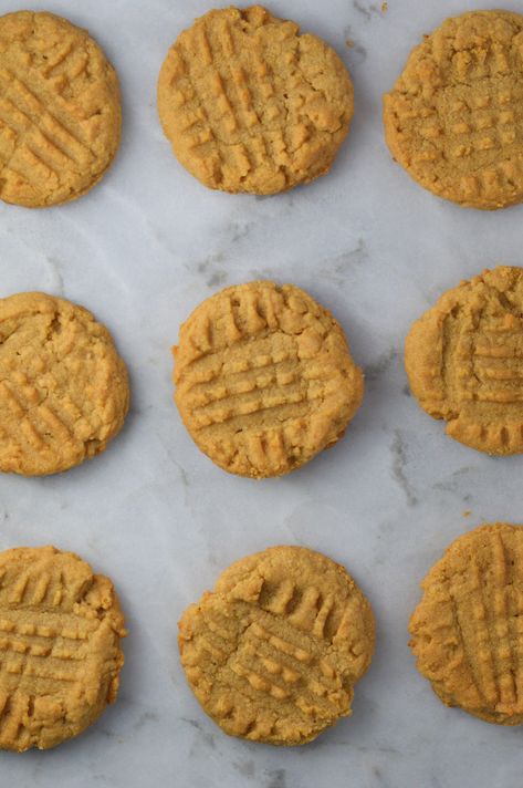 Peanut Butter Protein Cookies | A Taste of Madness Powdered Peanut Butter Cookies, Peanut Butter Protein Cookies, Whey Protein Recipes, Chocolate Protein Bars, Easy Peanut Butter Cookies, Peanut Butter Pretzel, Peanut Butter Oatmeal Cookies, Protein Powder Recipes, Protein Desserts