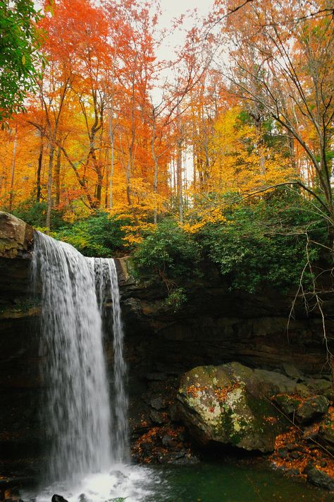 Ohiopyle State Park, Free Fall Wallpaper, Mountain Waterfall, Leaf Peeping, Waterfall Hikes, Fun Adventure, Waterfall Photography, Appalachian Mountains, Smoky Mountain National Park