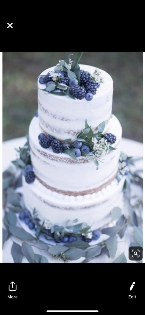 Enchanted Forest Cake, Coastal Wedding Cake, Light Blue Wedding Cake, Mountain Wedding Cake, Blueberry Wedding, Navy Blue Wedding Cakes, Blue Velvet Cakes, Slate Blue Wedding, Wedding Decorations Ideas