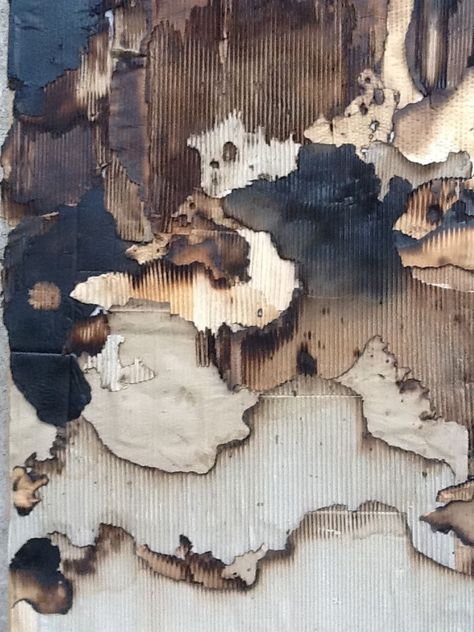 Deterioration Art, Disintegration Art, Burnt Paper Art, Destructive Art, Abstract Collage Mixed Media, Texture Artists, Destruction Art, Rebirth Art, Carton Texture