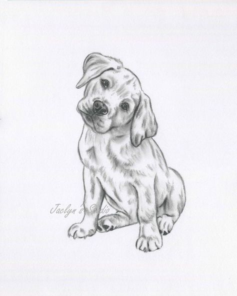 Lab Sketch, Lab Drawing, Retriever Drawing, Dog Pencil Drawing, Sketch Dog, Lab Decor, Golden Lab, Puppy Sketch, Golden Retriever Art