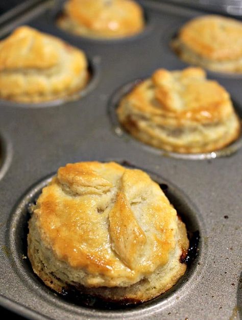 Homemade Mini Meat Pies have a delicious flaky pie crust, are simple and quick to make and great for lunch boxes, parties, picnics and snacks. freezer friendly too! Sout Tertjies, Mini Meat Pies, Savory Hand Pies Recipes, Pies Savory, Mini Pie Crust, Mini Pot Pies, Homemade Bisquick, Hand Pies Savory, Meat Pie Recipe