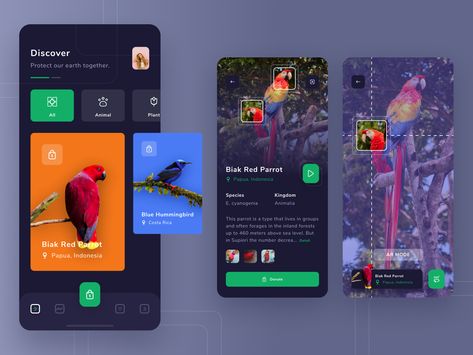 Birday - Animal Conservation App Character Design Process, Ux Design Portfolio, Ux User Experience, Ux Design Mobile, Ux Design Process, App Inspiration, Bird App, Mobile Ux, App Ideas