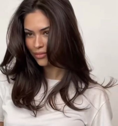 Dark Brunette Hair, Brown Hair Looks, Brown Hair Inspo, Layered Haircuts For Medium Hair, Hairstyles For Layered Hair, Haircuts For Medium Hair, Haircuts Straight Hair, Haircuts For Long Hair, Hair Inspo Color