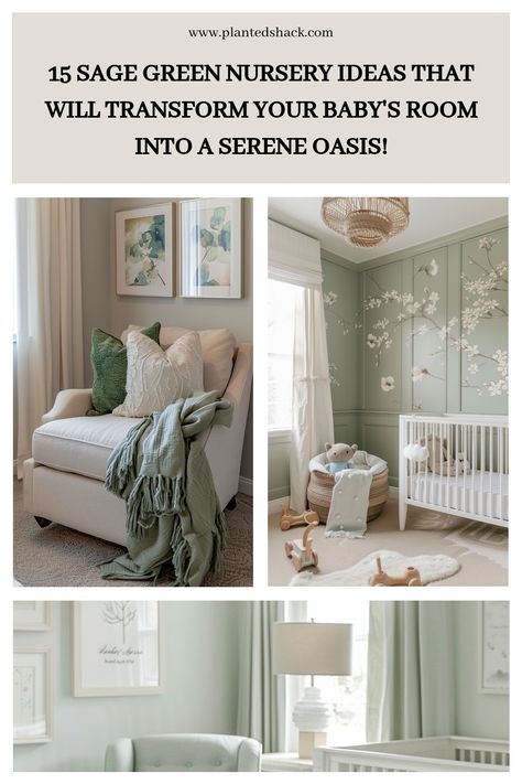 Sage Green And Mauve Nursery, Nursery Ideas Sage Green, Sage Nursery Girl, Nursery Ideas Sage, Sage Green Nursery Girl, Green Girls Nursery, Green Nursery Neutral, Green Girl Nursery, Nursery Sage Green