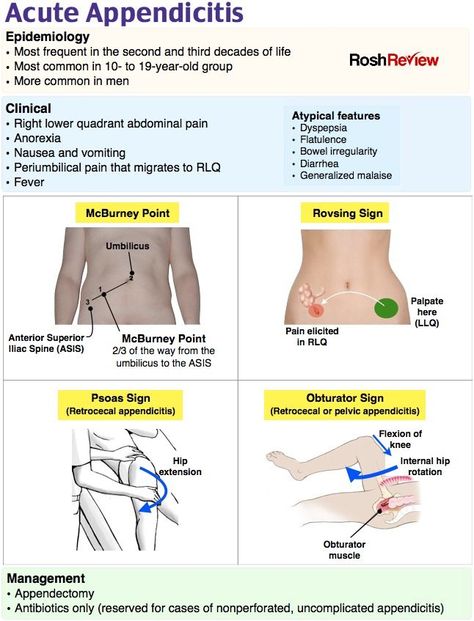 Nursing School Essential, Medicine Notes, Nurse Study Notes, Nursing Student Tips, Medical Student Study, Nursing School Survival, Nursing School Studying, Medical Facts, Medical School Inspiration