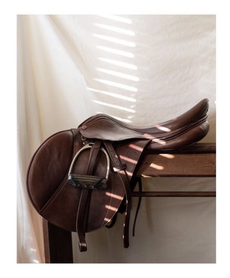 Hunter jumper riding saddle on a tree in front of a white backdrop with dramatic linear lighting. Equestrian Product Photography, Horse Product Photography, English Equestrian Aesthetic, Equine Aesthetic, Horse Branding, Saddle Photography, English Horseback Riding, Aesthetic Equestrian, Equestrian Photoshoot