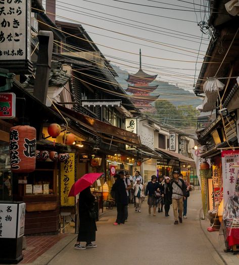 A Guide to Visiting Hiroshima and Miyajima Island - Tales of Two Hiroshima Travel, Yokohama Japan Aesthetic, Hiroshima Japan Travel, Hiroshima Nagasaki Collage, Korean Lifestyle, Miyajima Japan, Japan Vibes, Japan Core, Miyajima Island