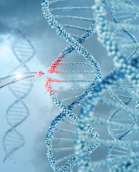 Biotechnology Art, Human Skeleton Anatomy, Gene Editing, Dna Art, Starověký Egypt, Human Body Organs, Human Dna, Biology Art, Gene Therapy