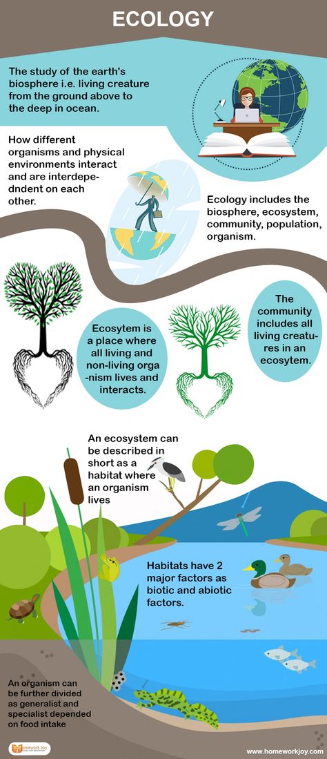 Here are some #facts about #ecology that #you must know. Get a better hold on the definition of ecology and its presence on #various levels. Ecology Study, Ecology Notes, Climate Activities, Educational Facts, Writing Homework, Save Planet, Living Organisms, General Science, Conservation Biology