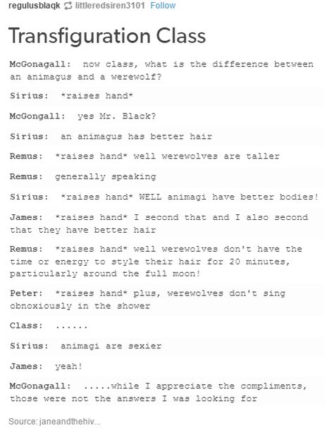 the marauders and mcgonagall Life Quotes Humor, Harry Potter Humor, Hilarious Puns, Citate Harry Potter, Maxon Schreave, Harry Potter Memes Hilarious, Harry Potter Puns, Yer A Wizard Harry, Quotes Humor