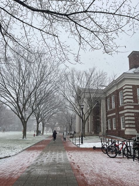 University Of Delaware Aesthetic, Romanticizing University, Delaware University, College Core, University Of Delaware, Dream College, I School, Delaware, University