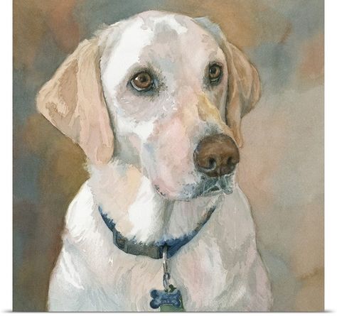 Painting-Kaley Yellow Lab Yellow Lab Watercolor, Yellow Lab Art, Dog Watercolor Painting, Dog Portraits Painting, Dog Portraits Art, Watercolor Dog Portrait, Labs Art, Yellow Lab, White Dog