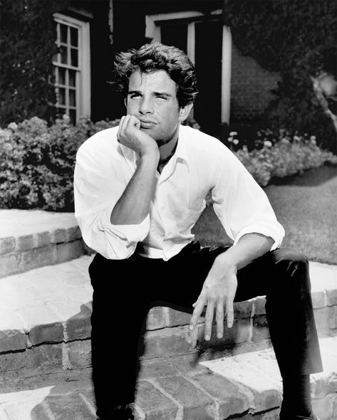 Young Warren Beatty, Warren Beatty, Model Aesthetic, Basic Fits, The New Yorker, New Yorker, Old Hollywood, Male Model, Che Guevara