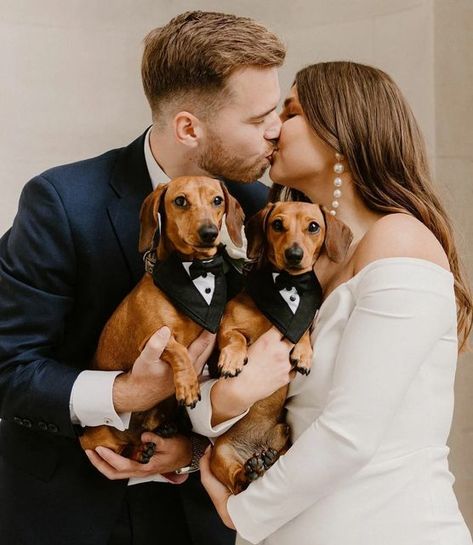 Dogs At Weddings Ideas, Wedding With Dog, Dachshund Wedding, Marriage Photoshoot, Wedding Dogs, Hounds Of Love, Wedding Wishlist, Prom Photoshoot, Photos With Dog